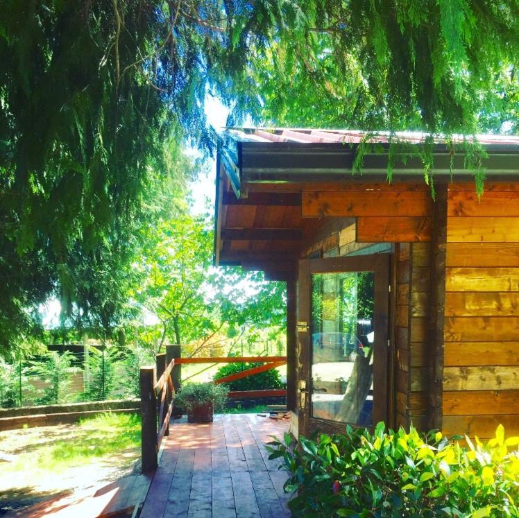 Bilocale In The Farm- Malpensa-Lago Maggiore Varallo Pombia Buitenkant foto